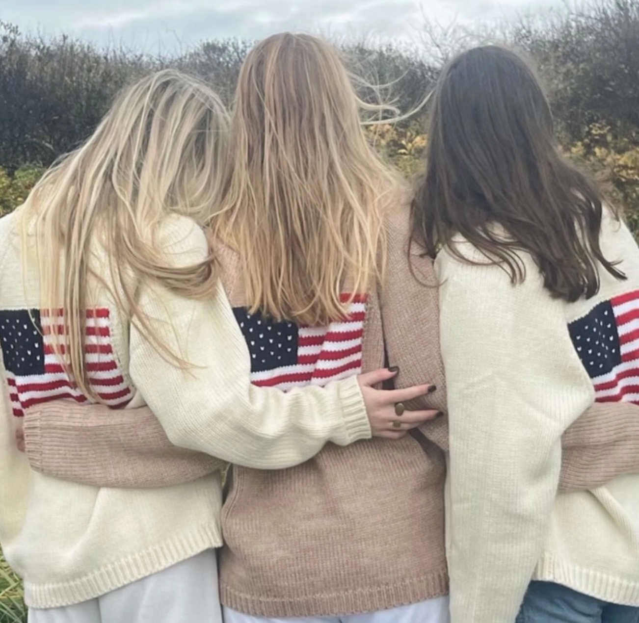 PINK PINEAPPLE AMERICAN FLAG SWEATER