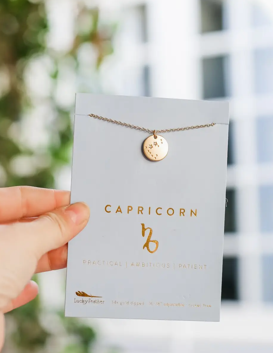 LUCKY FEATHER ZODIAC NECKLACE
