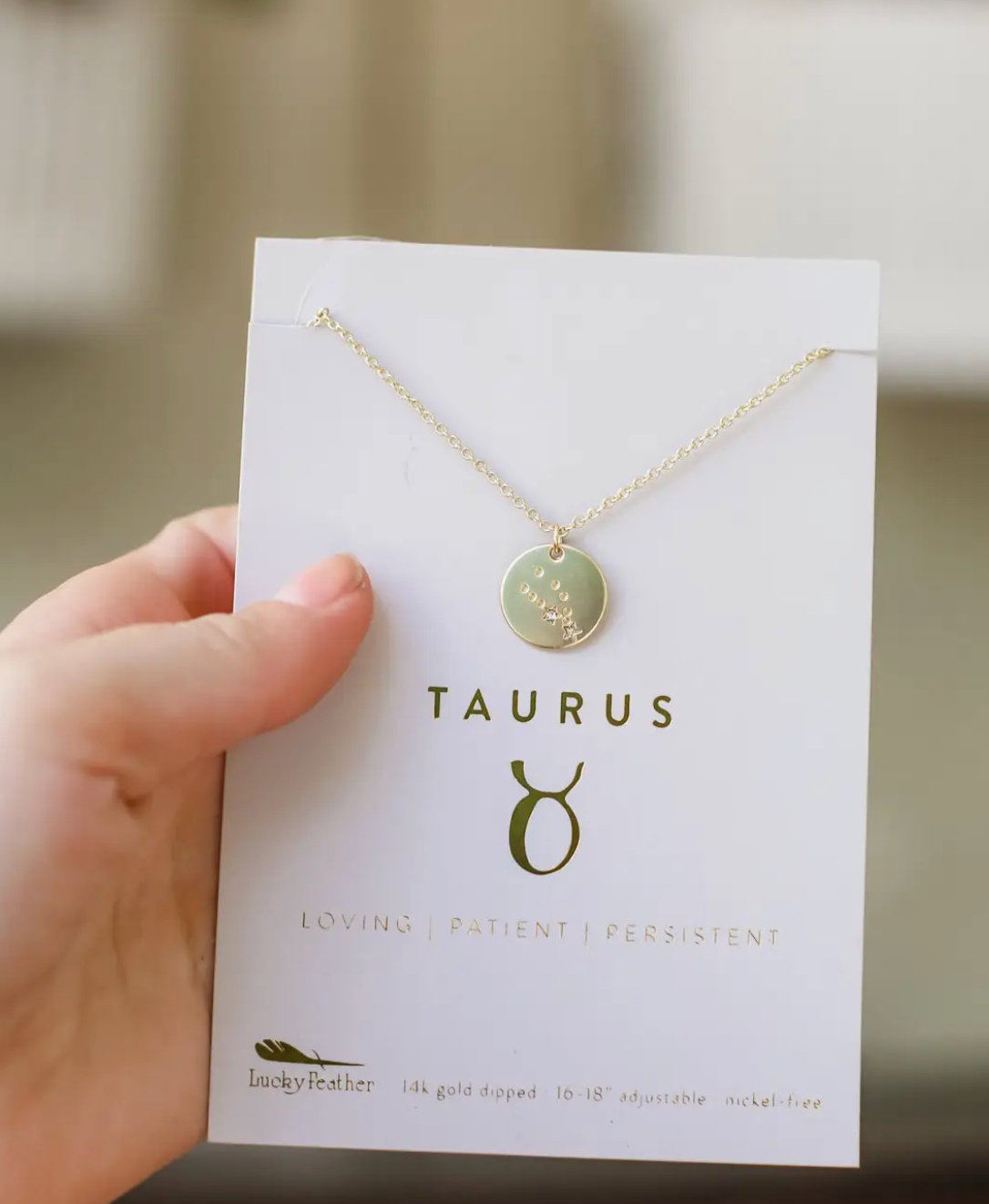 LUCKY FEATHER ZODIAC NECKLACE