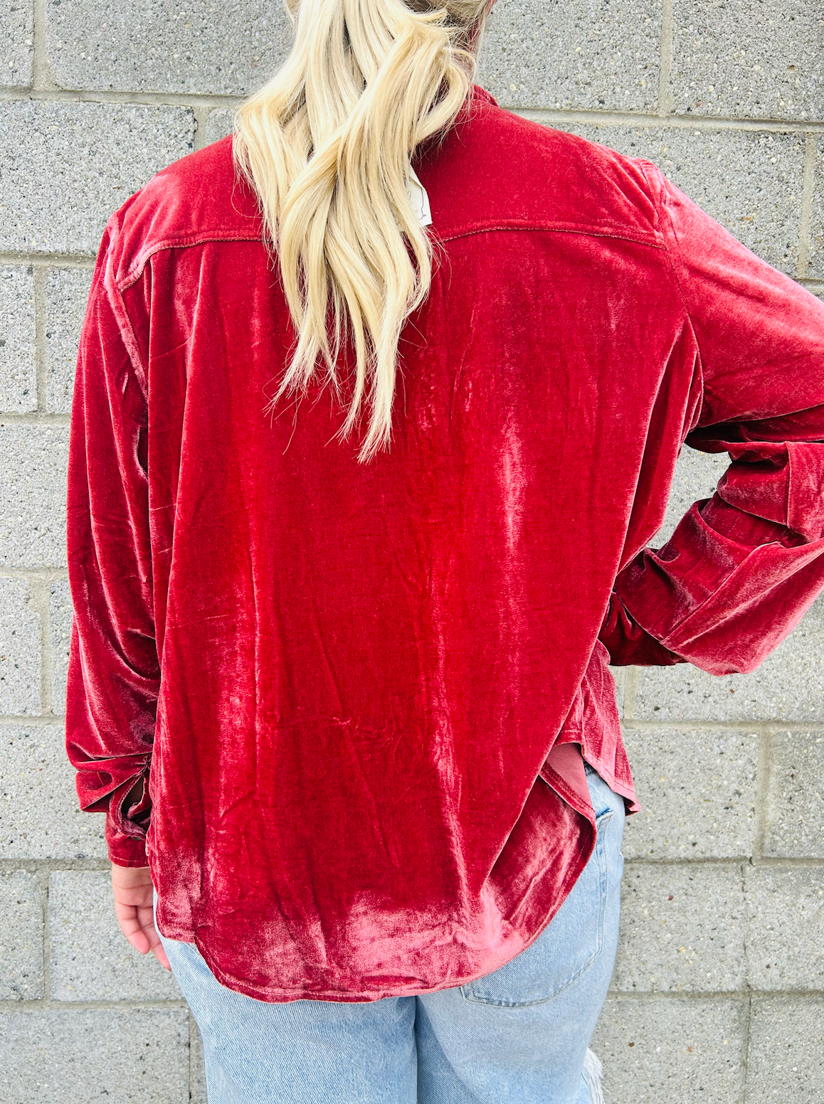 EASEL VELVET RODEO BUTTON DOWN
