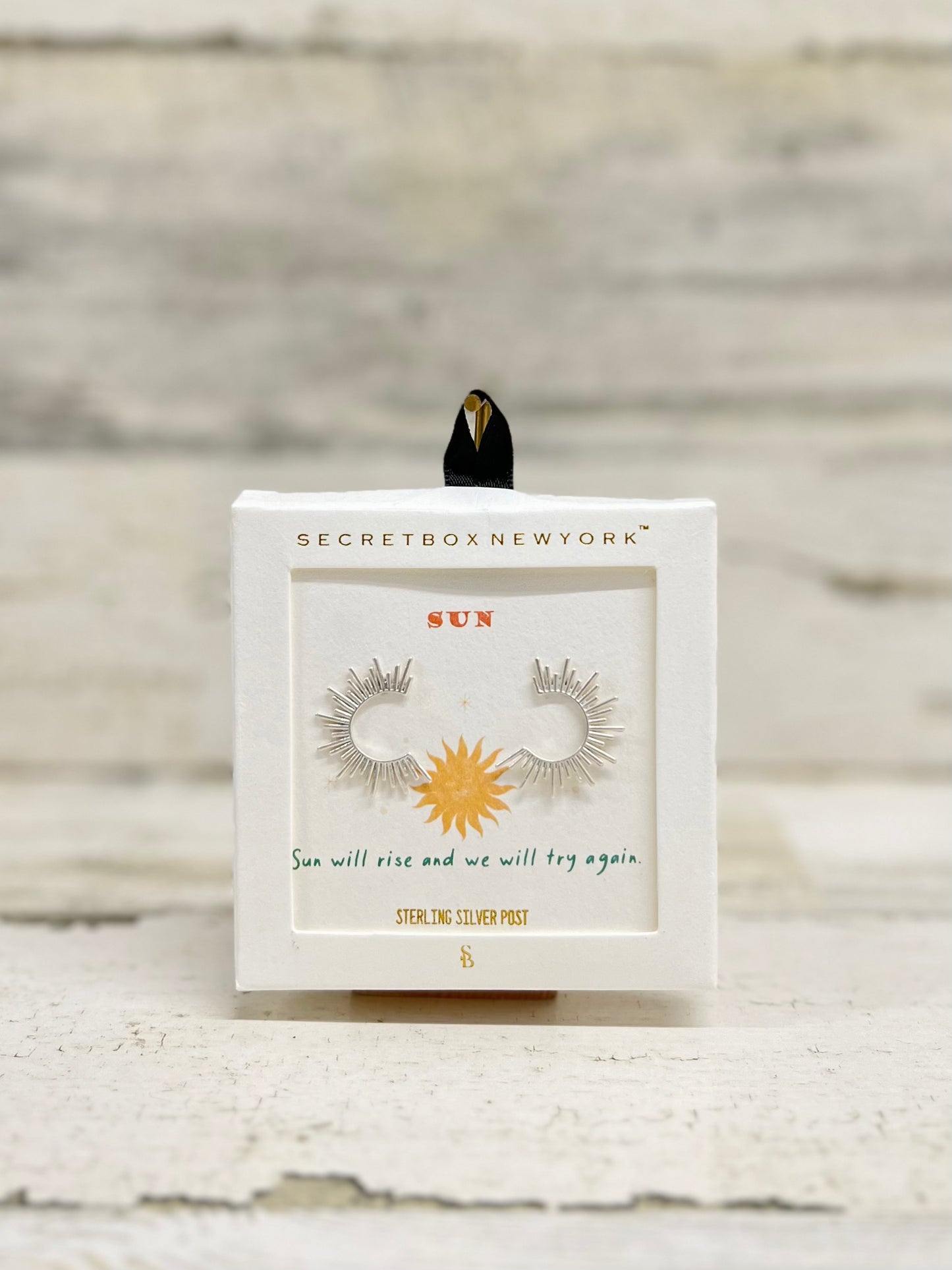 SECRET BOX INSPIRE EARRINGS
