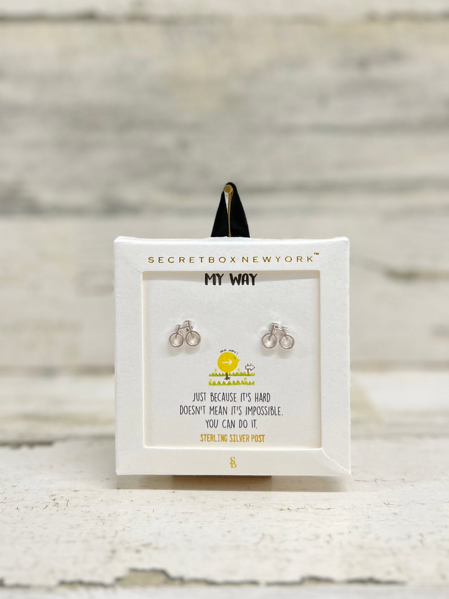 SECRET BOX INSPIRE EARRINGS
