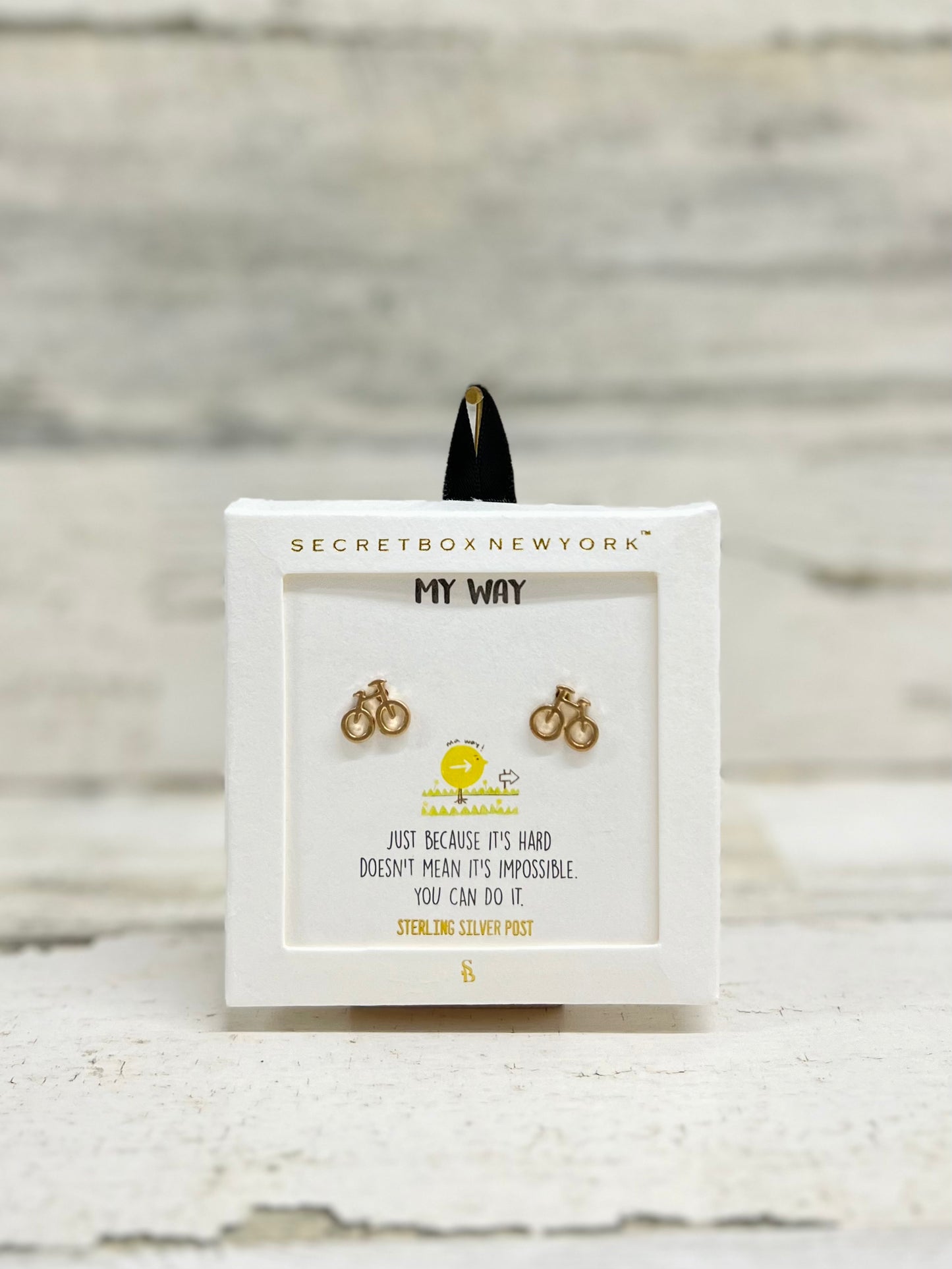 SECRET BOX INSPIRE EARRINGS