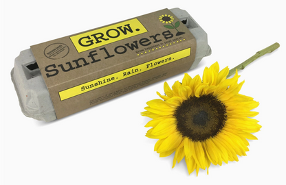 BACKYARD SAFARI COMPANY SUNFLOWER GROW KIT
