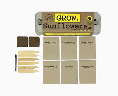 BACKYARD SAFARI COMPANY SUNFLOWER GROW KIT