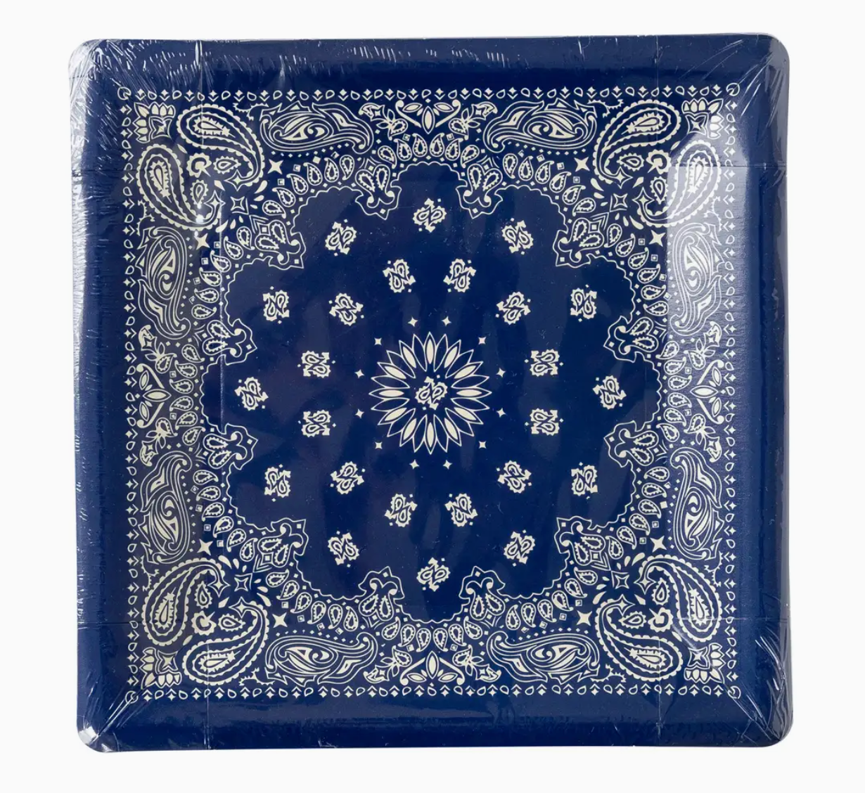 MY MIND'S EYE BANDANA PAPER PLATES