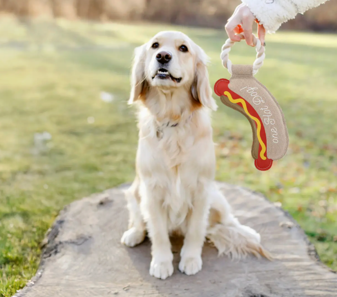 PAVILION ONE HOT DOG TOY