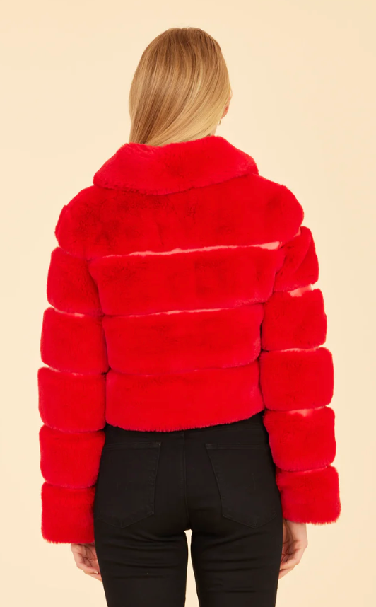 CABO DOLCE GIDGET JACKET