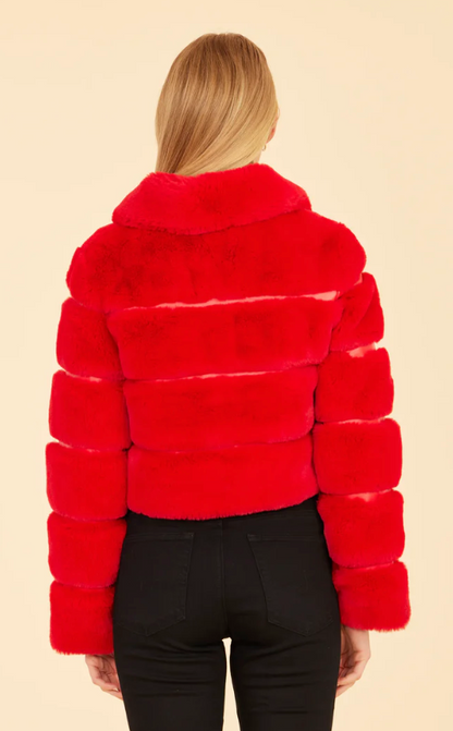 CABO DOLCE GIDGET JACKET