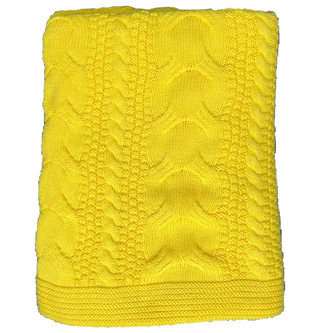 CHLOE & LEX CABLE KNIT THROW BLANKET
