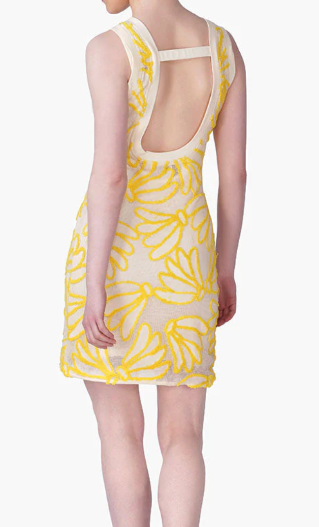 AMERICAN & BEYOND THIS IS BANANAS DRESS