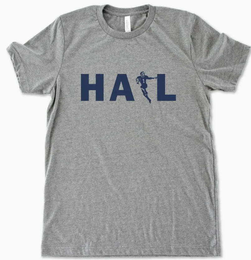MICHIGAN VIBES HAIL TEE