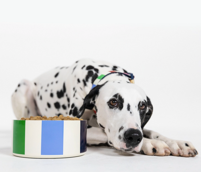 KATE SPADE DOG BOWL