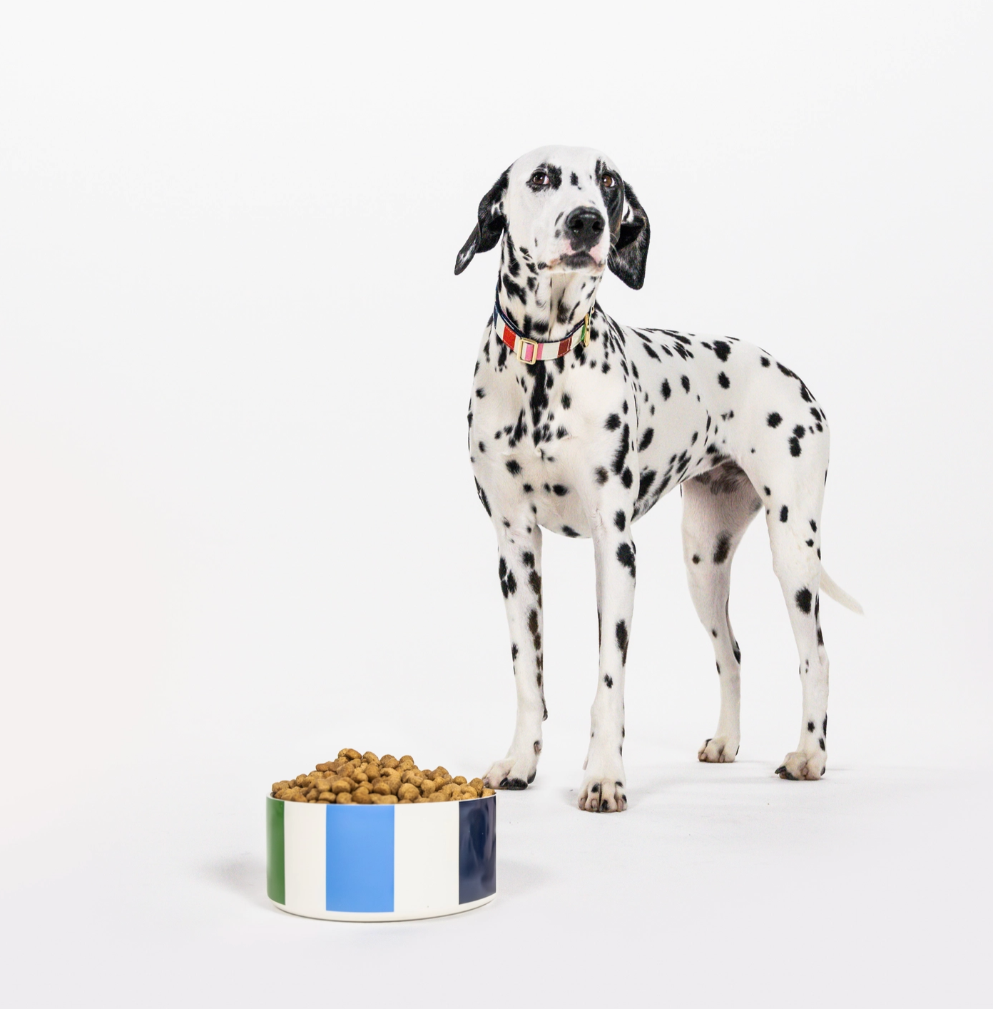 KATE SPADE DOG BOWL