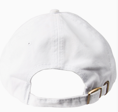 PAVILION LAKE BASEBALL HAT