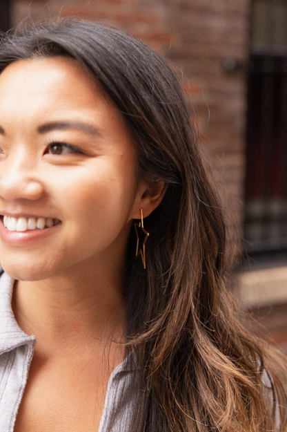 SPIFFY & SPLENDID SUPER STAR EARRINGS